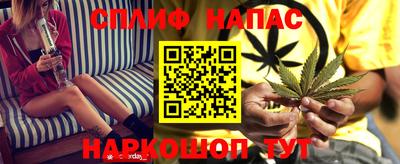 сатива Заволжье